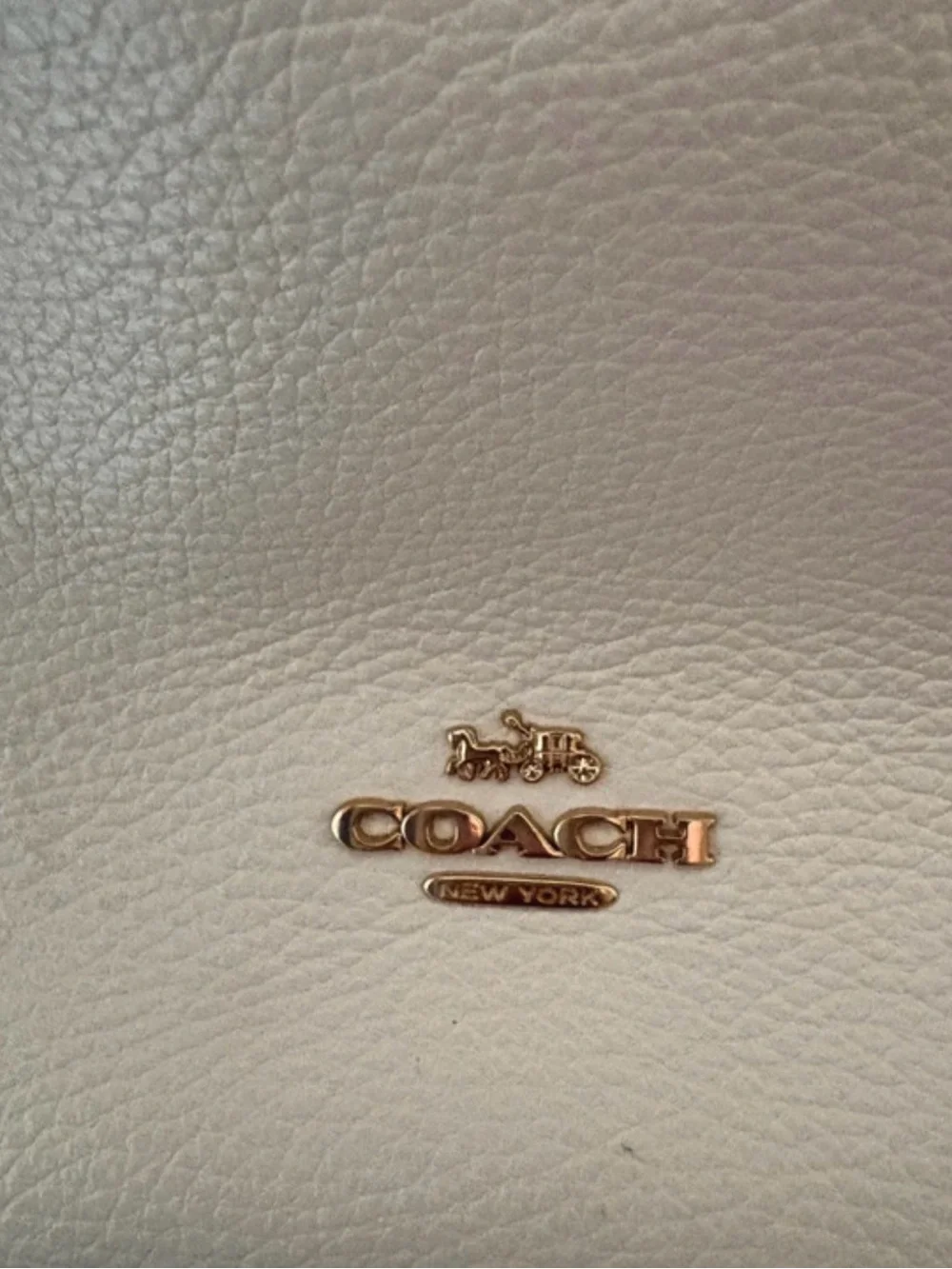 Coach Pebbled Leather Hobo in Blush with Black Trim